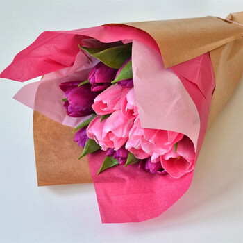 tulip